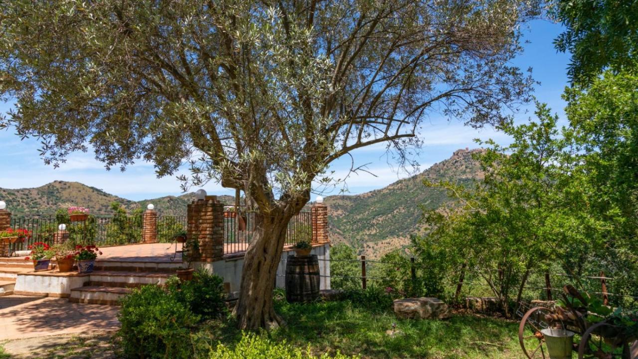 Casale Margherita Turismo Rurale Поллина Экстерьер фото