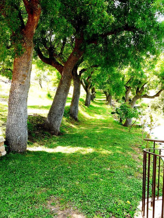 Casale Margherita Turismo Rurale Поллина Экстерьер фото